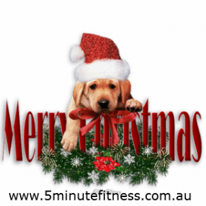 5 Minute Fitness | Christmas dog