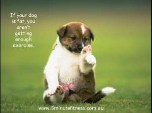 5 Minute Fitness | Fat doggy